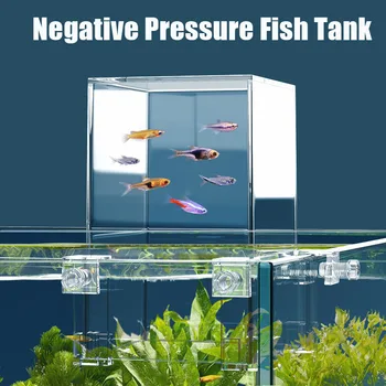  Креативный Аквариумный аквариум с рыбками отрицательного давления Экологическое оформление Акваскейпа Маленький аквариум с рыбками Бета Изоляция чаши аквариума