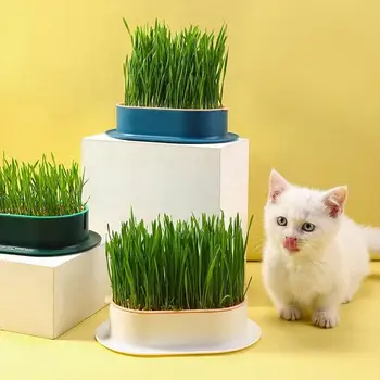 1 комплект Блюдо для выращивания рассады для домашних кошек, горшок для выращивания гидропонных растений, блюдо для закваски для проращивания кошачьей травы, ящик для выращивания в теплице